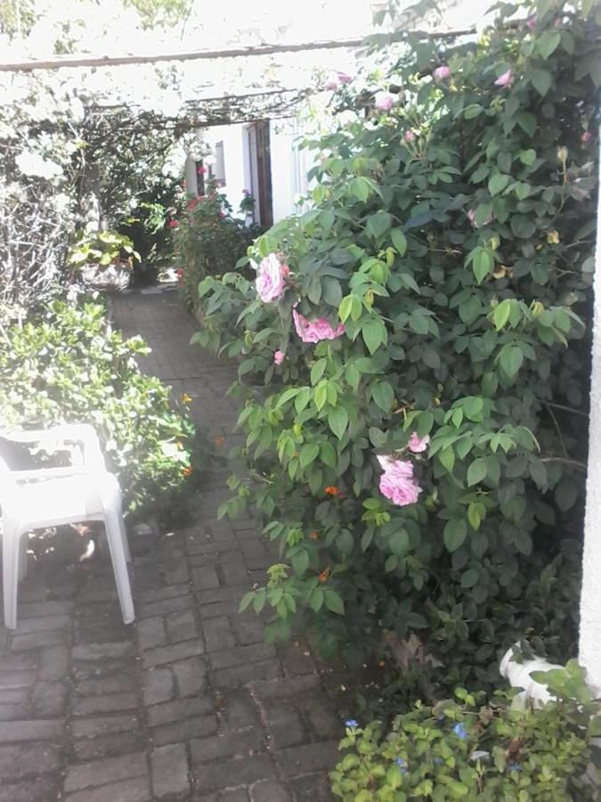 Self Catering Unit 6, Sandbaai Hermanus Exteriör bild
