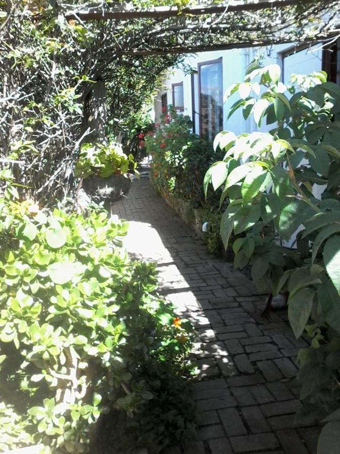 Self Catering Unit 6, Sandbaai Hermanus Exteriör bild