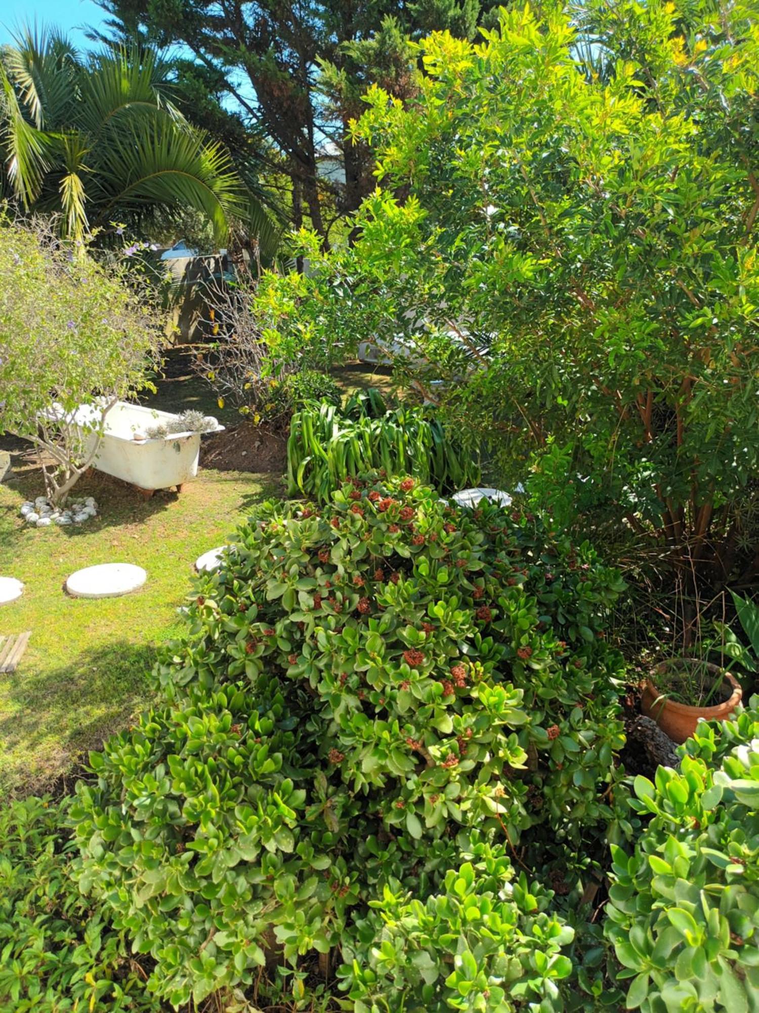 Self Catering Unit 6, Sandbaai Hermanus Rum bild